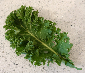 April 18, 2016: Kale Chip Recipe ~ click here to comment