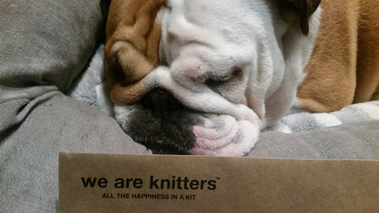 We Are Knitters Party ~click here to comment